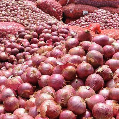 Onion