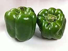 Capsicum