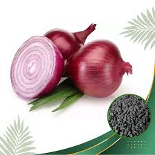 Onion