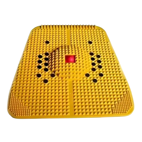 Organic Vegetable Box