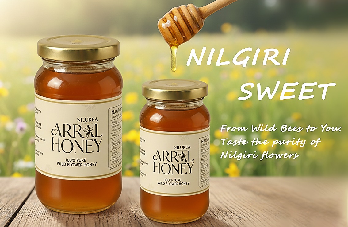 Organic Vegetable Box