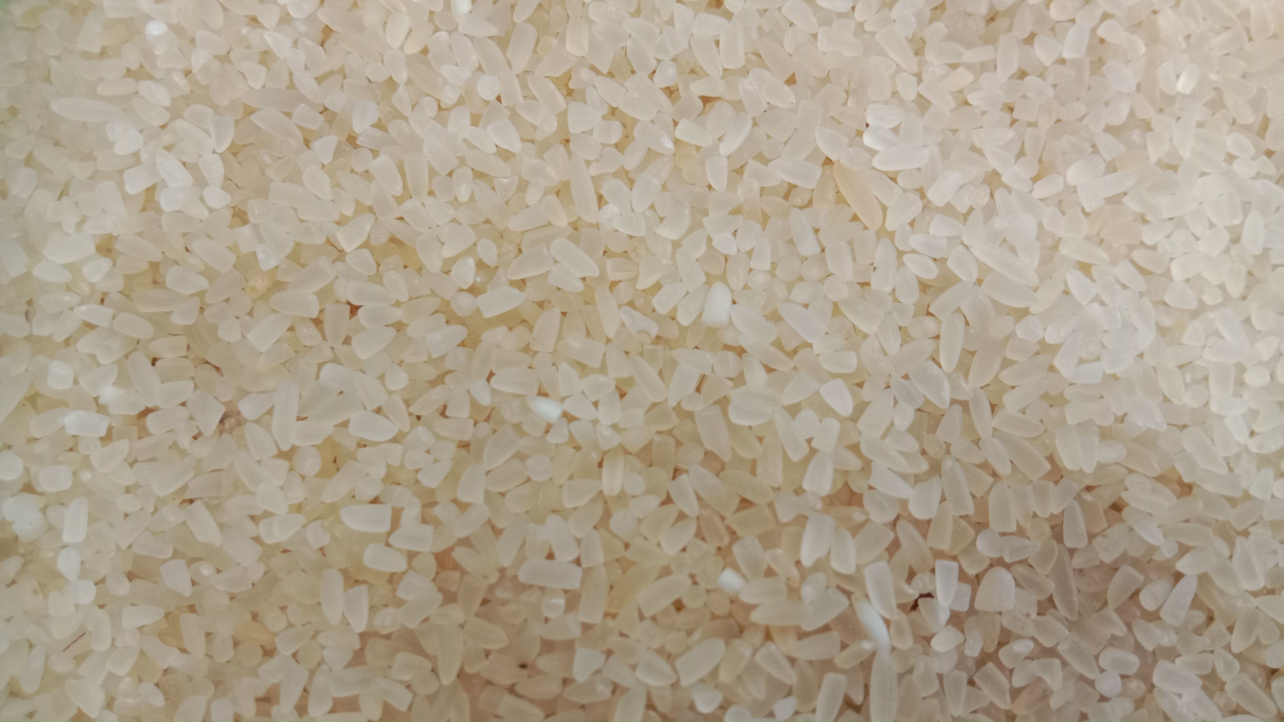 Organic Vegetable Box