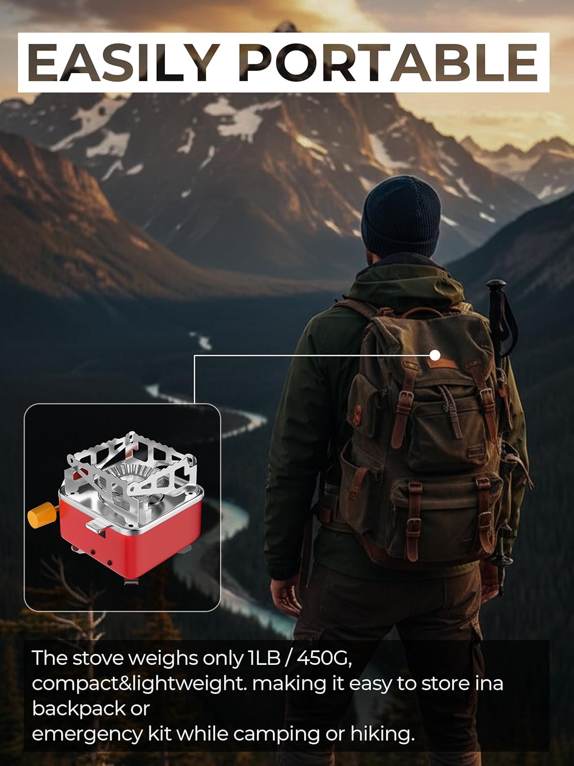 Organic Vegetable Box