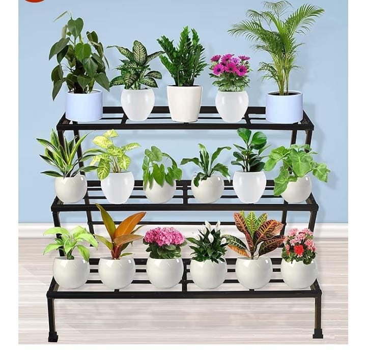 Organic Vegetable Box