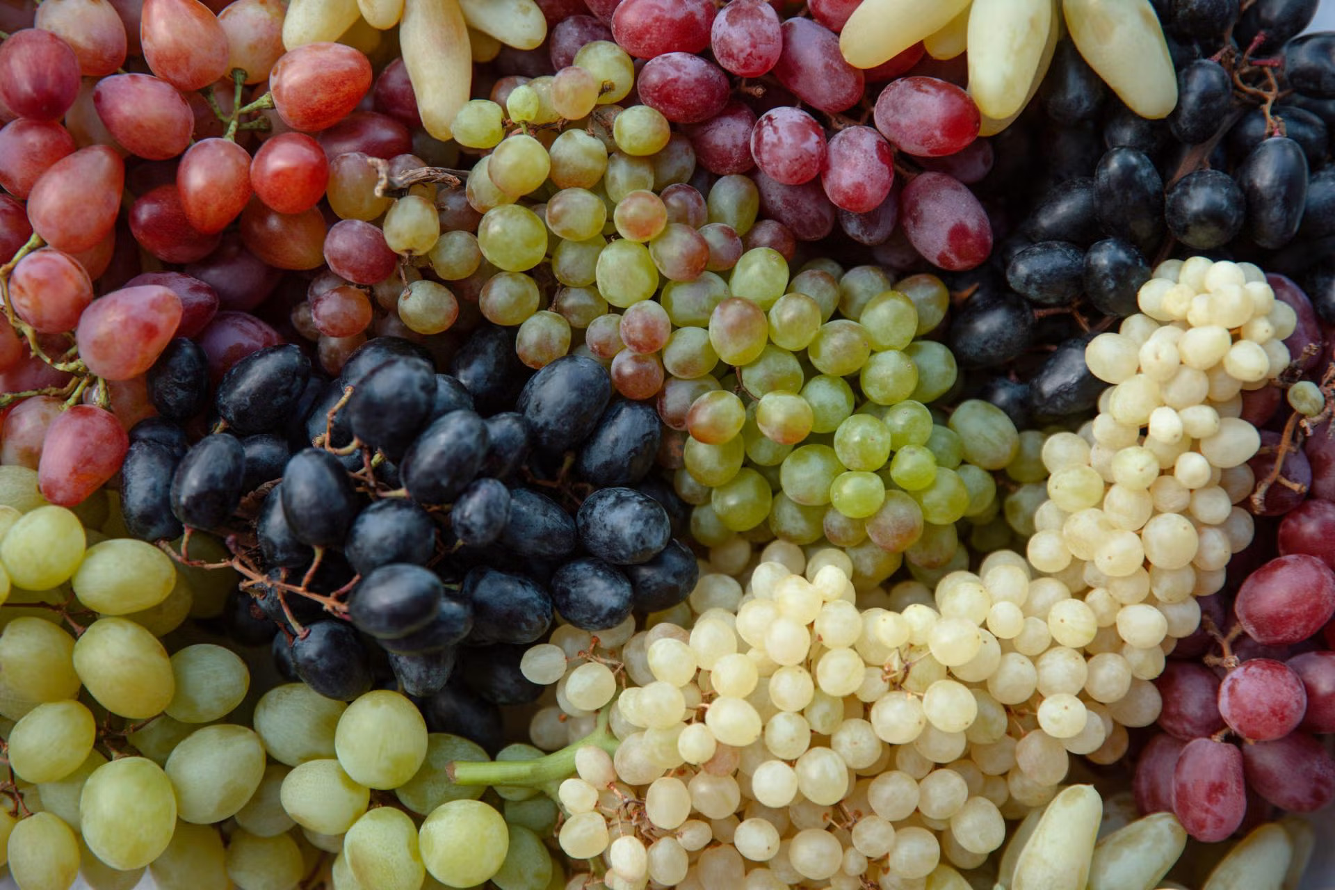 Organic Pantry Staples