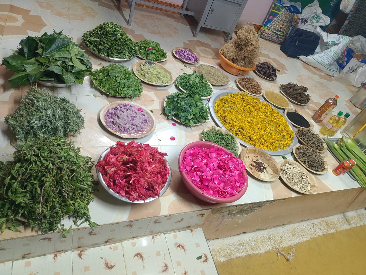 Organic Vegetable Box