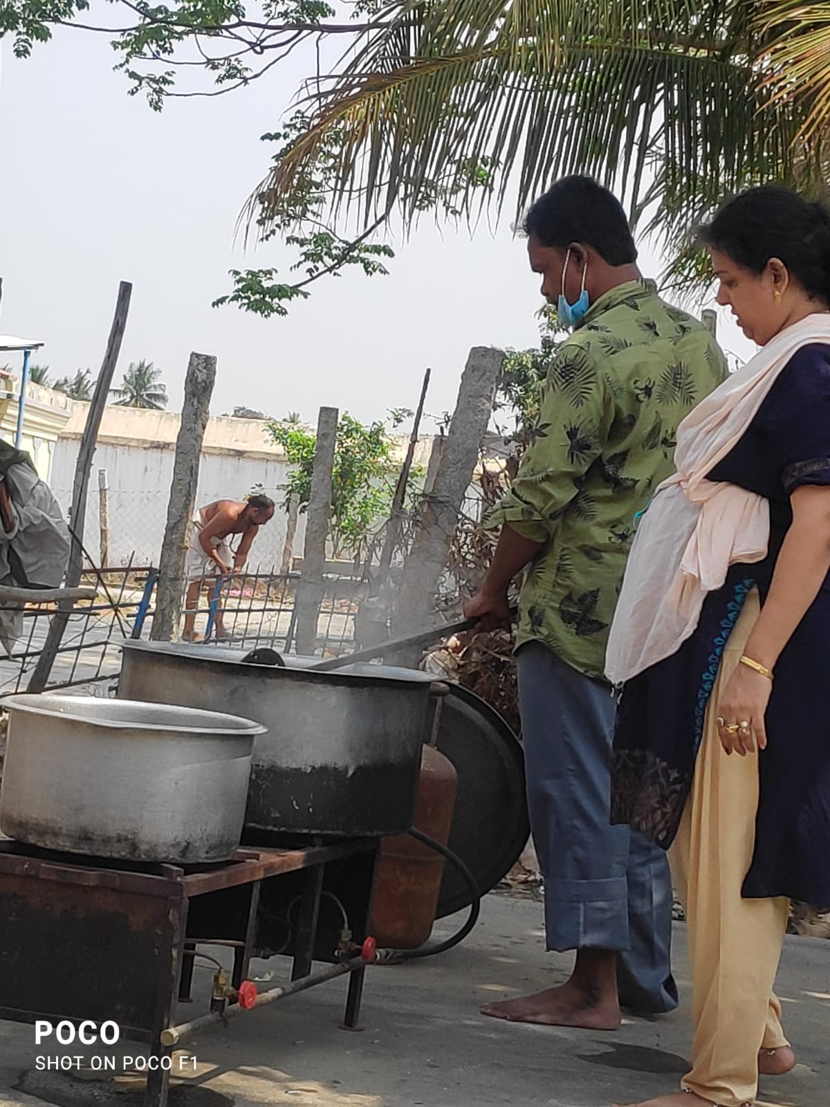 Organic Vegetable Box