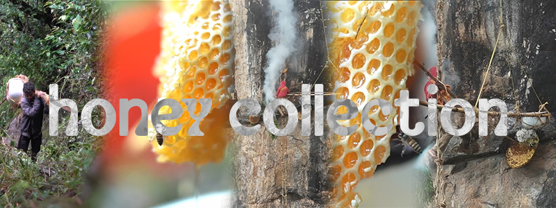 Seasonal Eating: Why It Matters for Your Health and the Planet