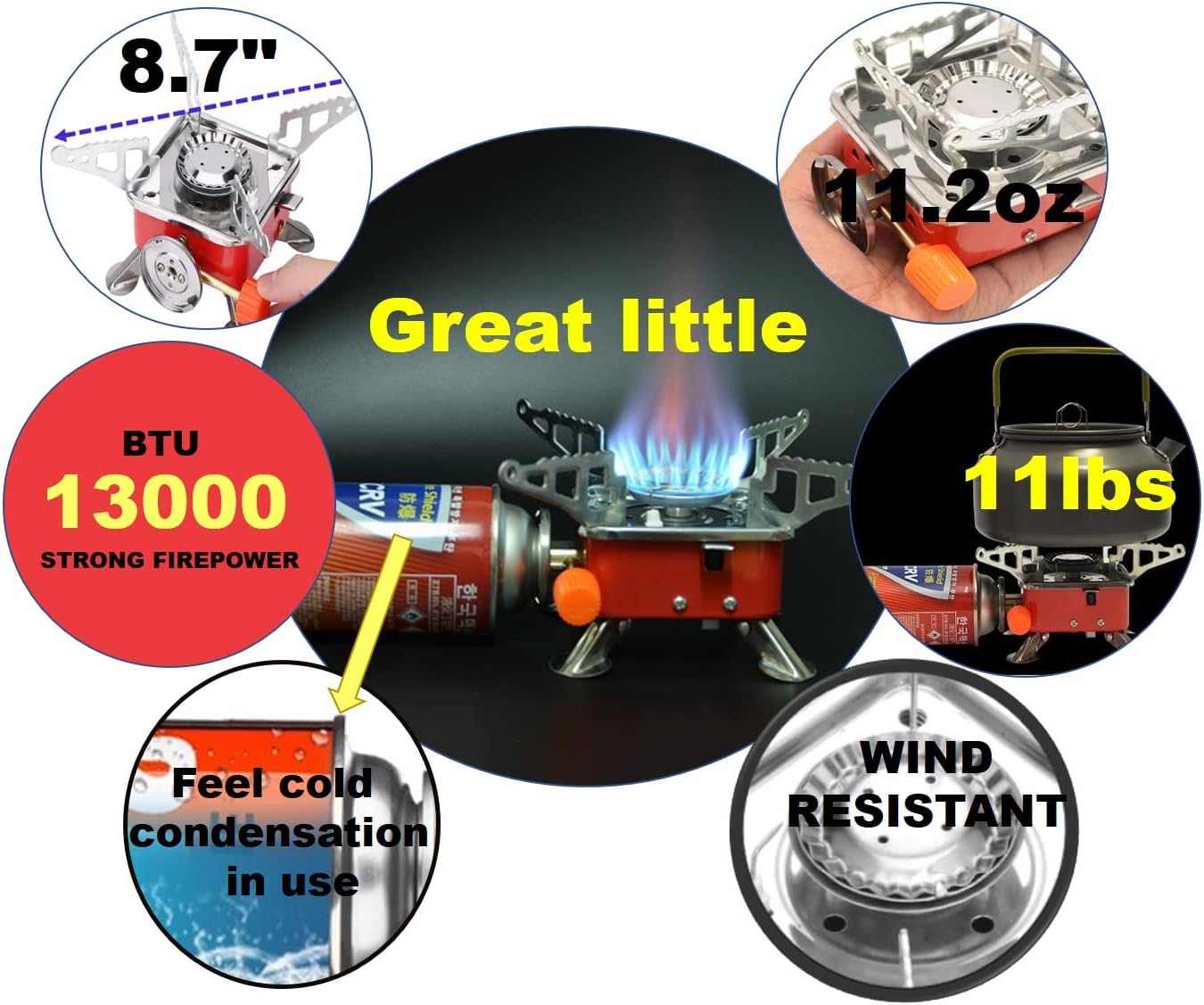 Organic Vegetable Box