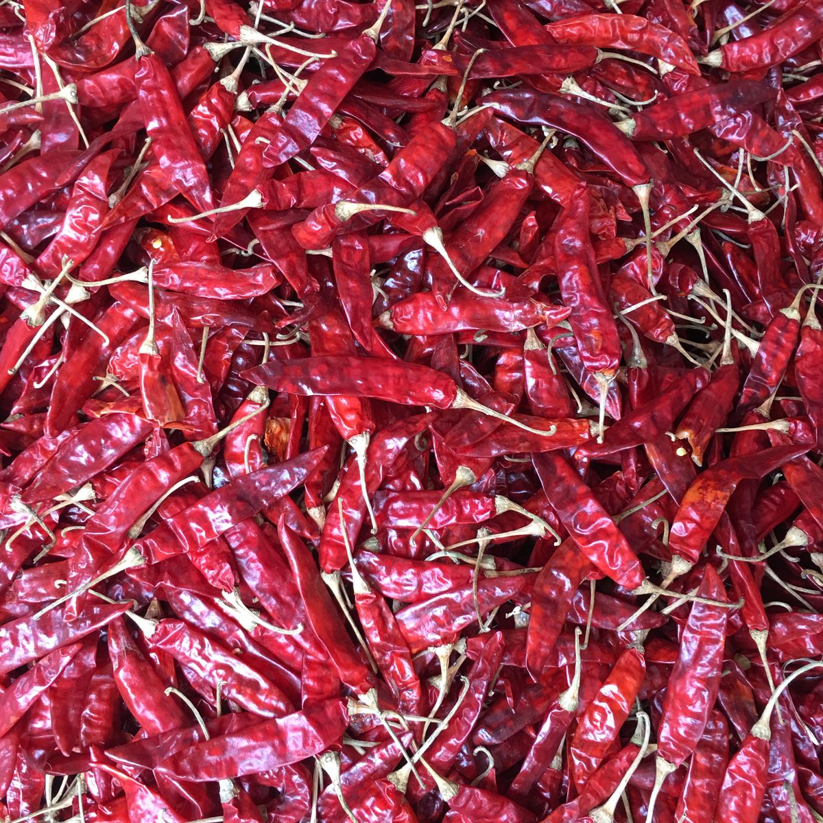 Organic Vegetable Box