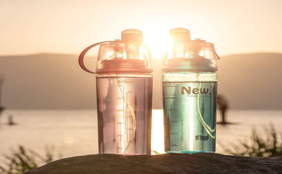 Organic Vegetable Box