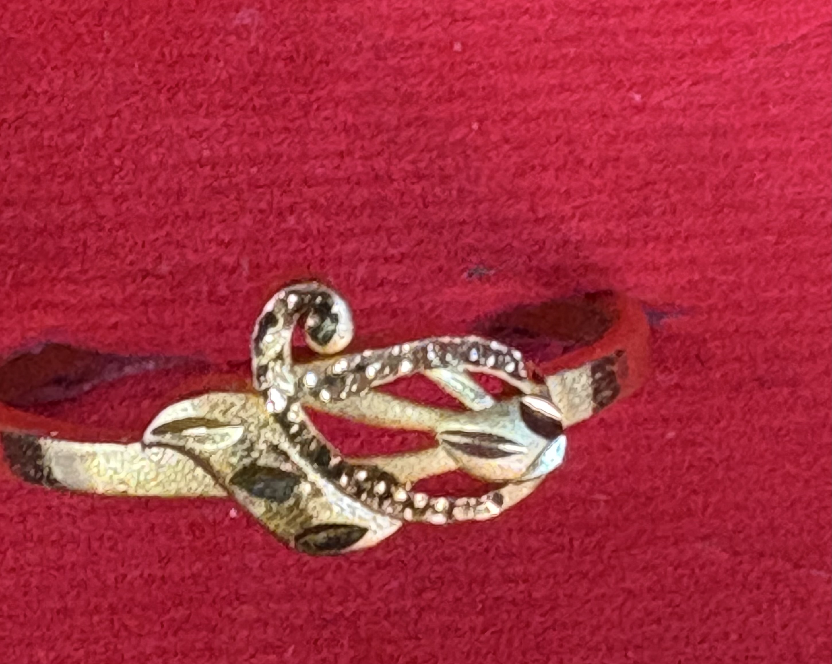 Organic Vegetable Box