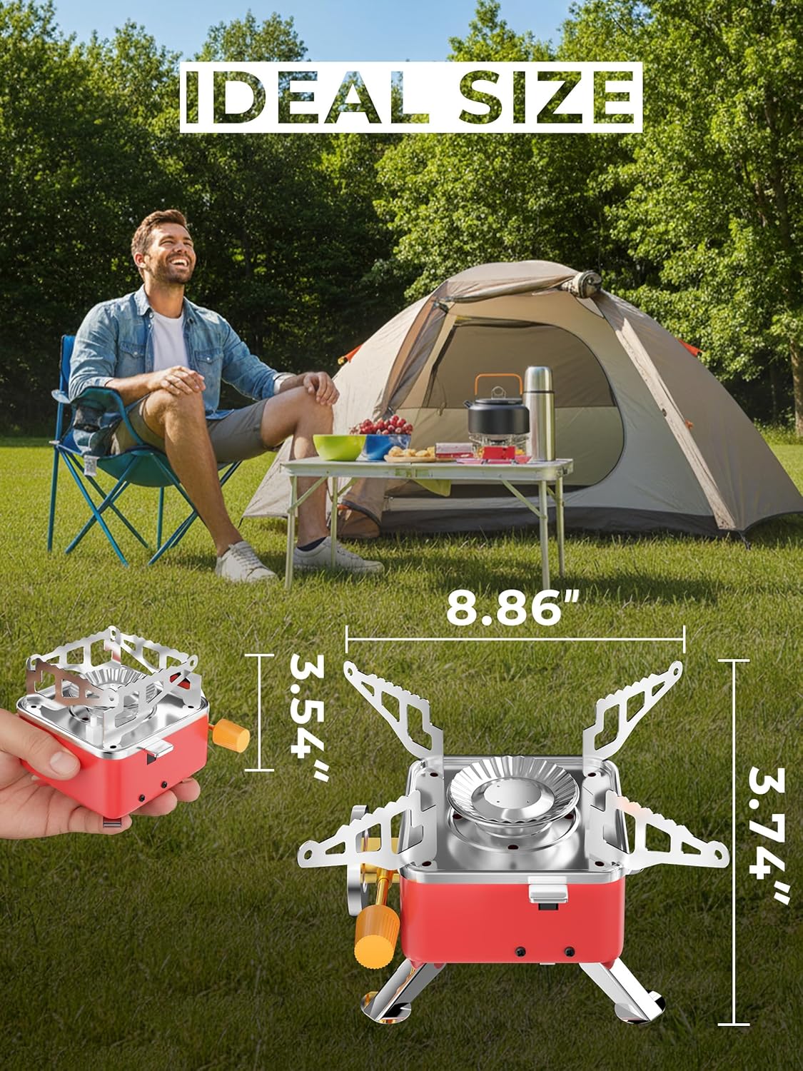 Organic Vegetable Box