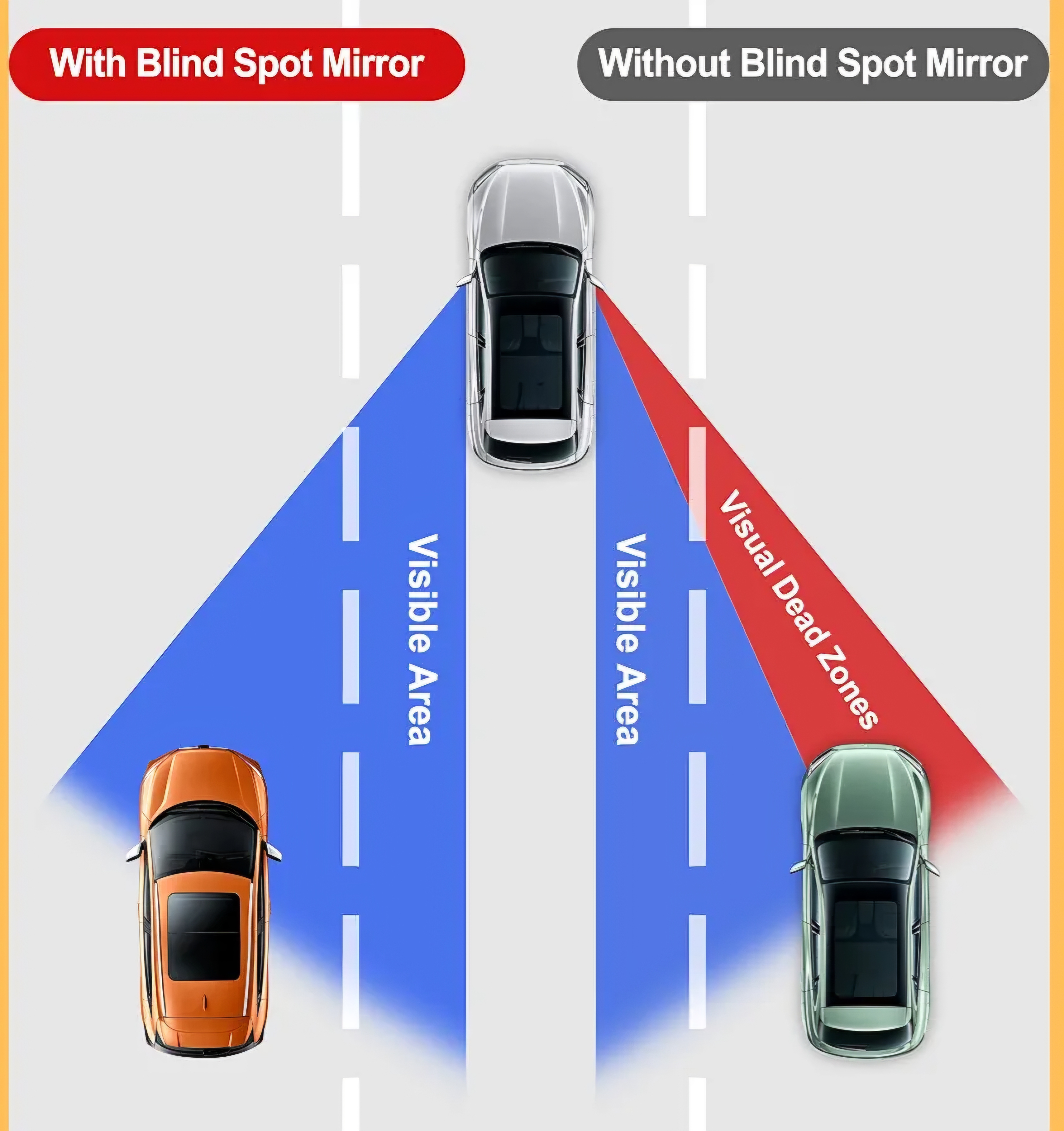 Organic Vegetable Box