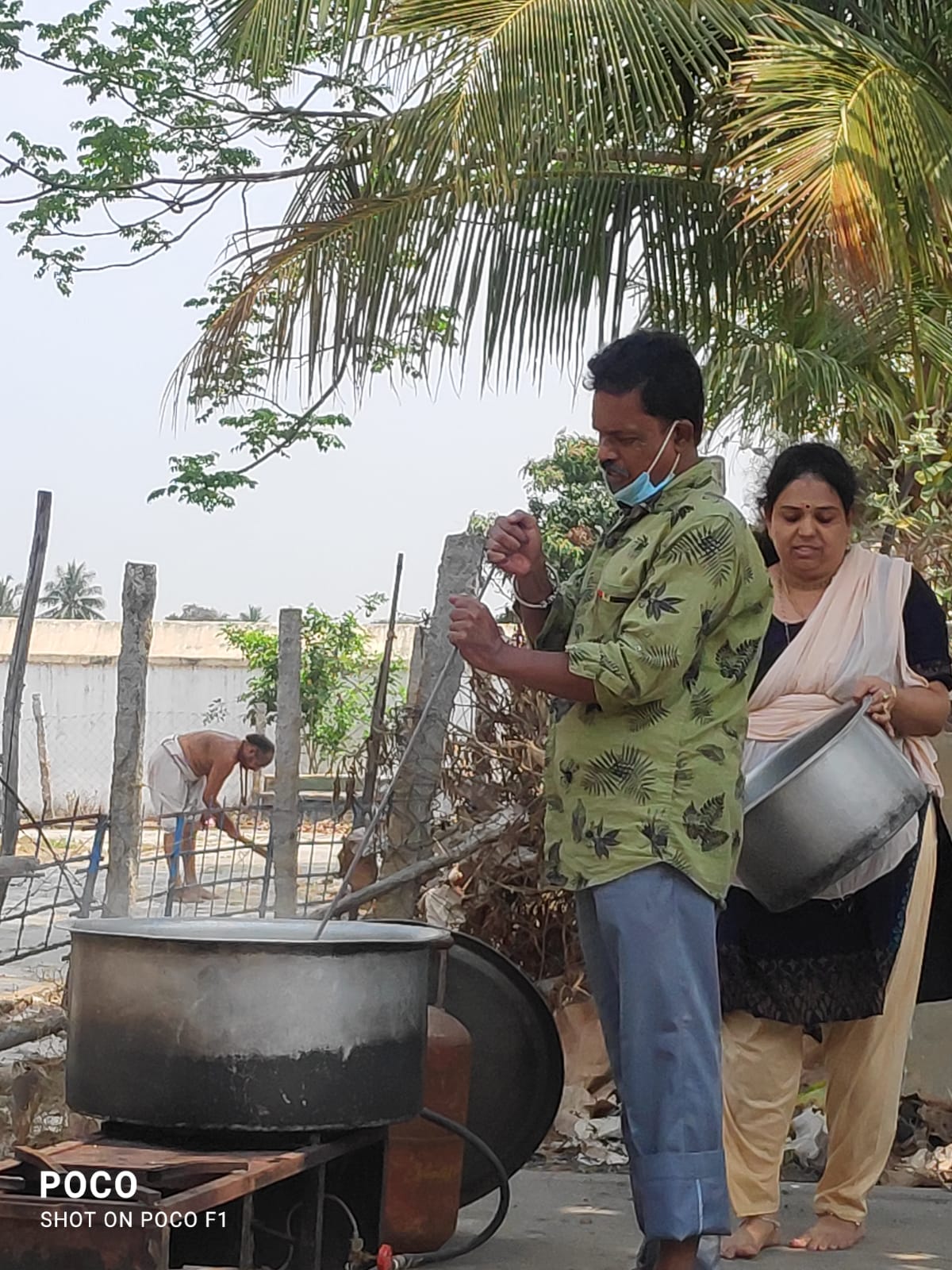 Organic Vegetable Box