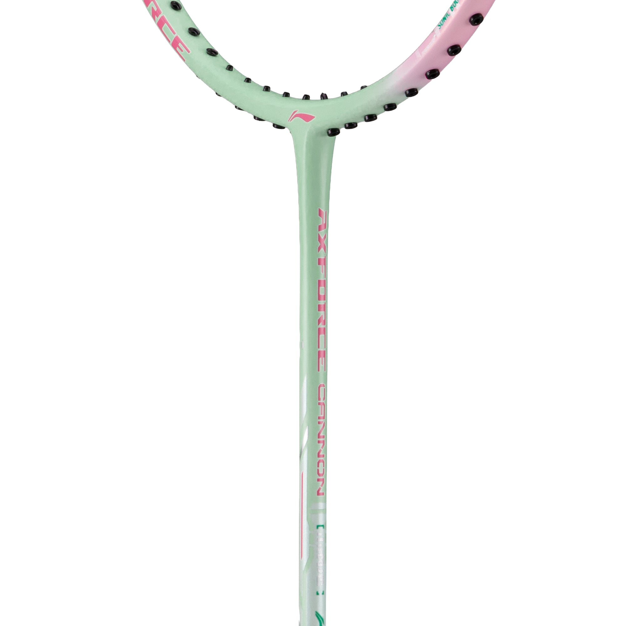 Organic Vegetable Box