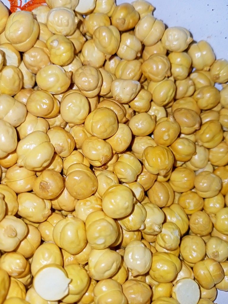 Organic Vegetable Box