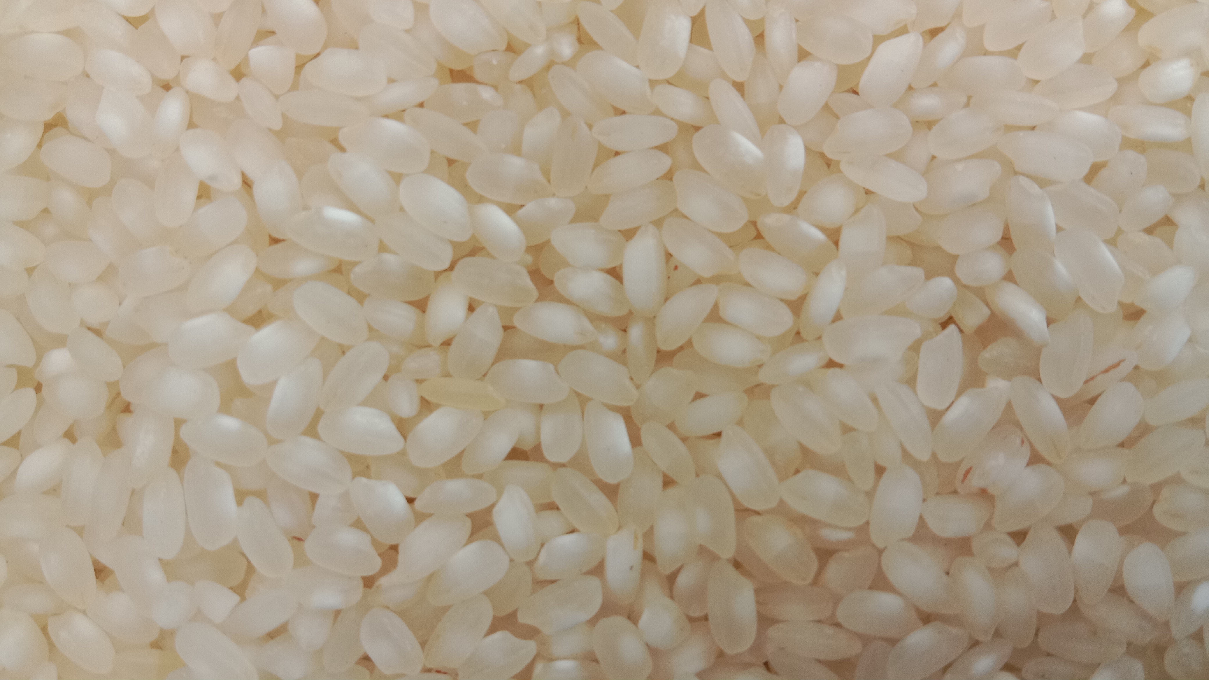 Organic Vegetable Box