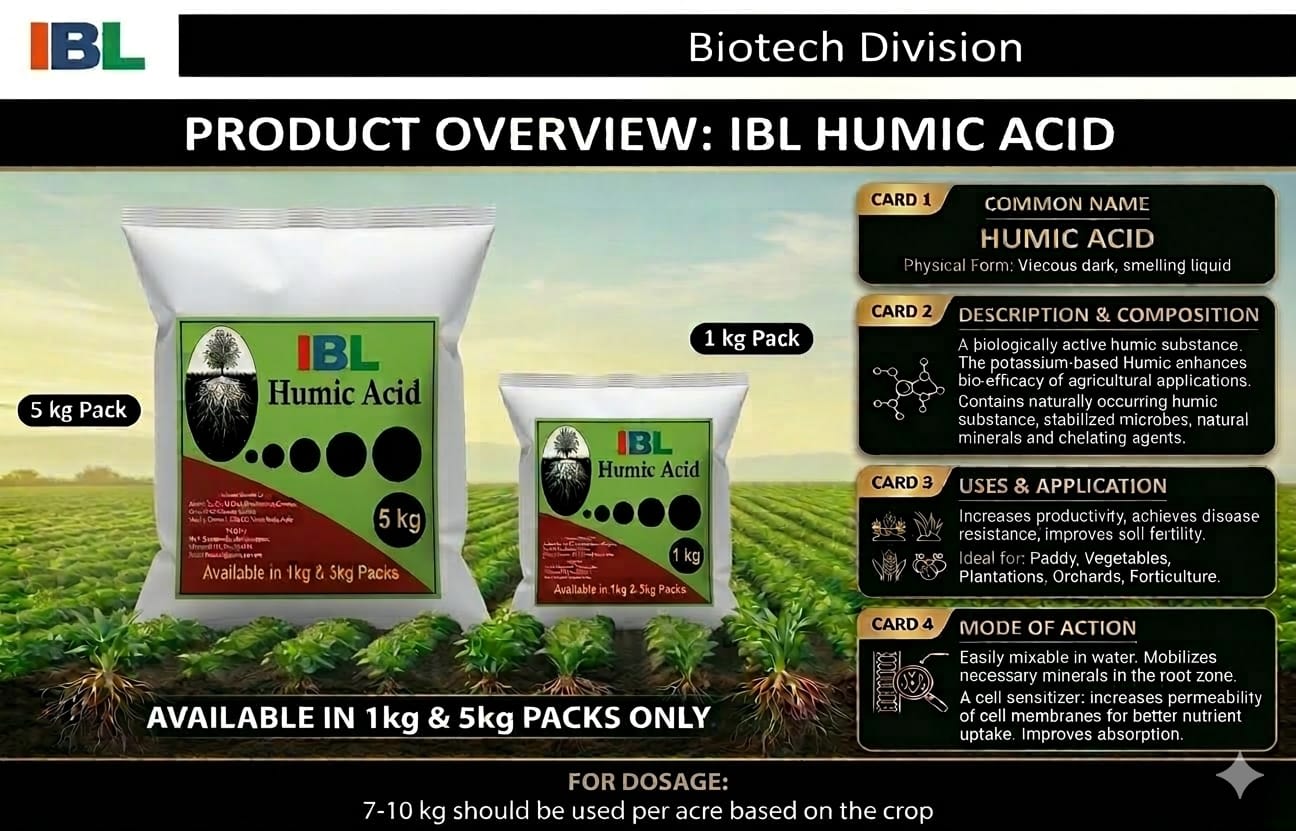 Organic Vegetable Box