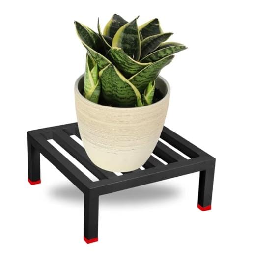 Organic Vegetable Box