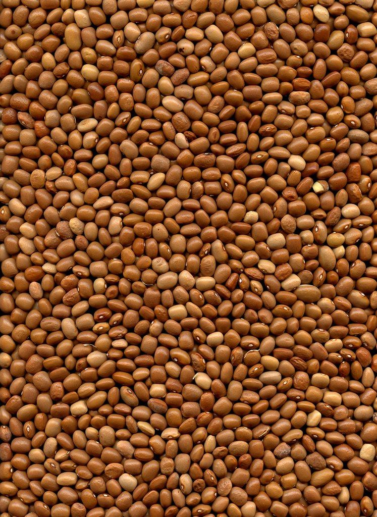 Organic Vegetable Box