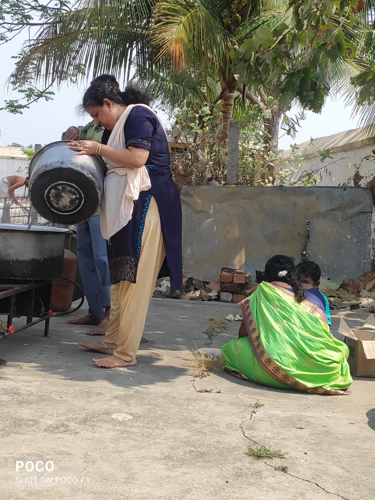 Organic Vegetable Box
