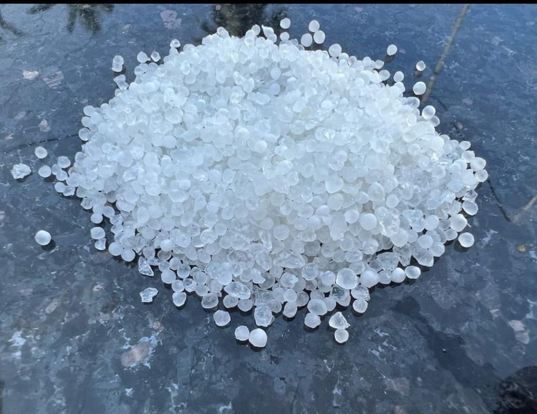 Organic Vegetable Box