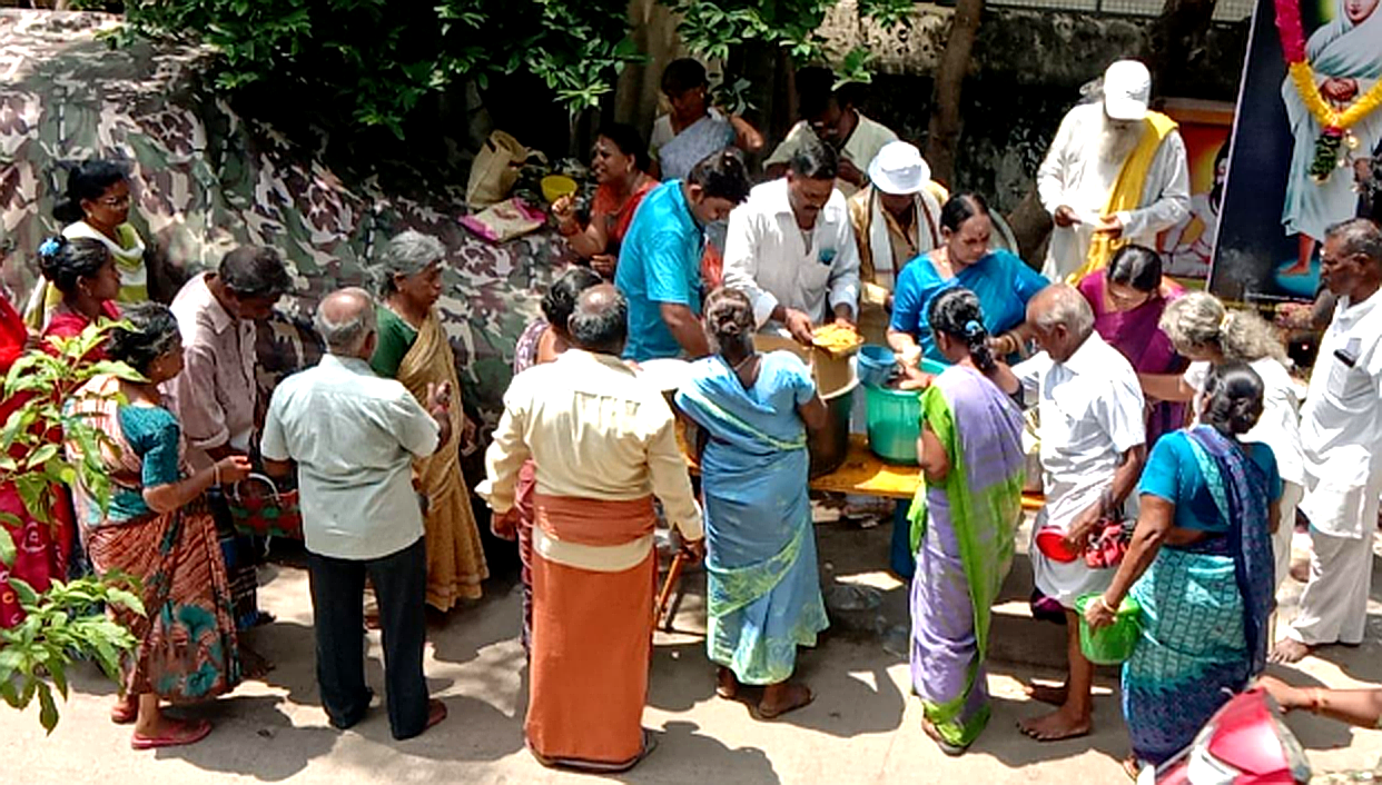 Organic Vegetable Box