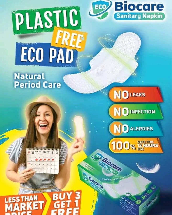 Organic Vegetable Box