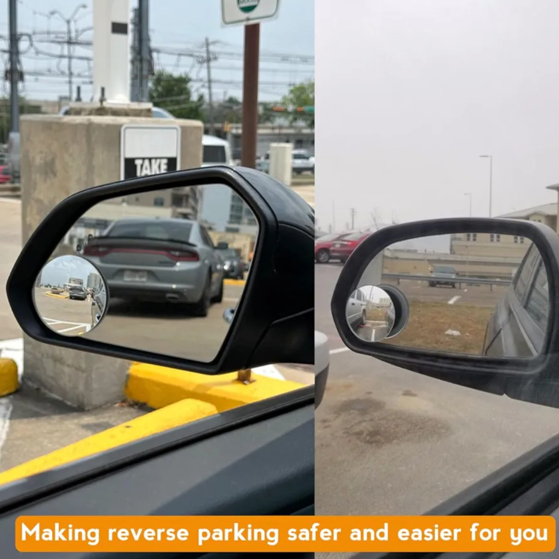 Organic Vegetable Box