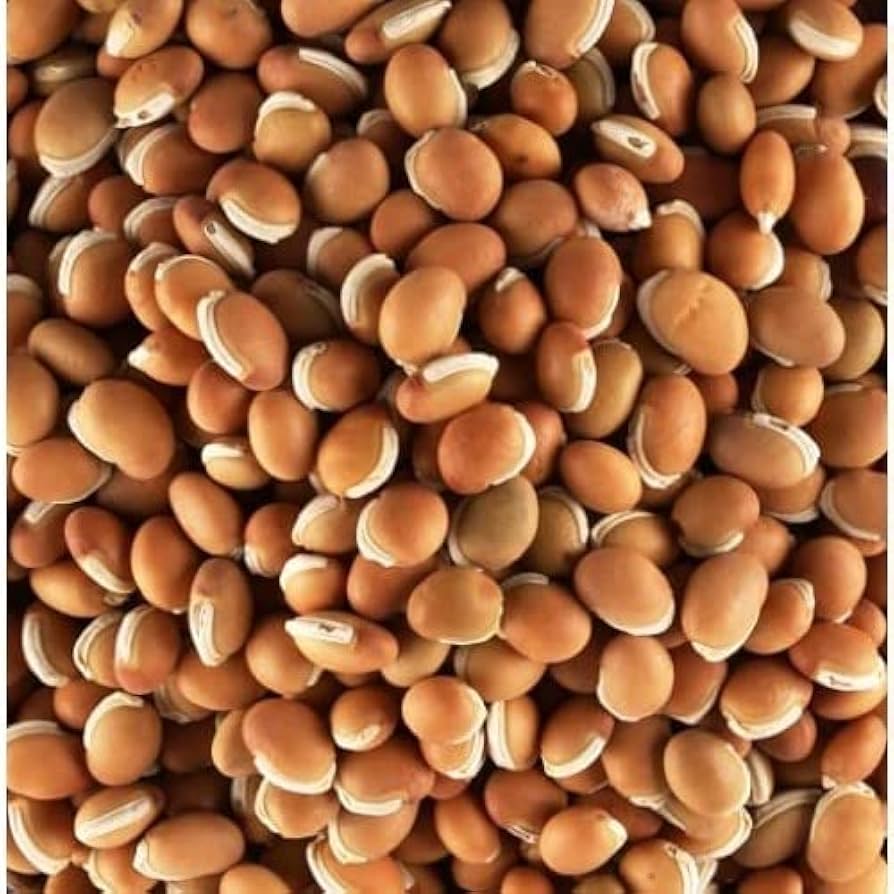 mochai RED/சிவப்பு மொச்சை