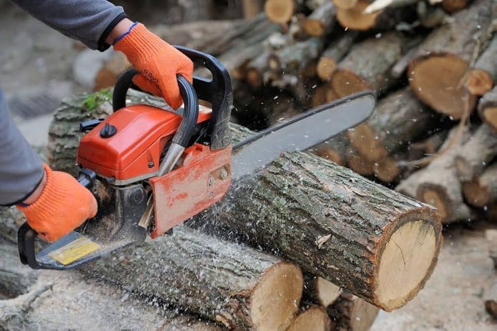 PETROL CHAIN SAW