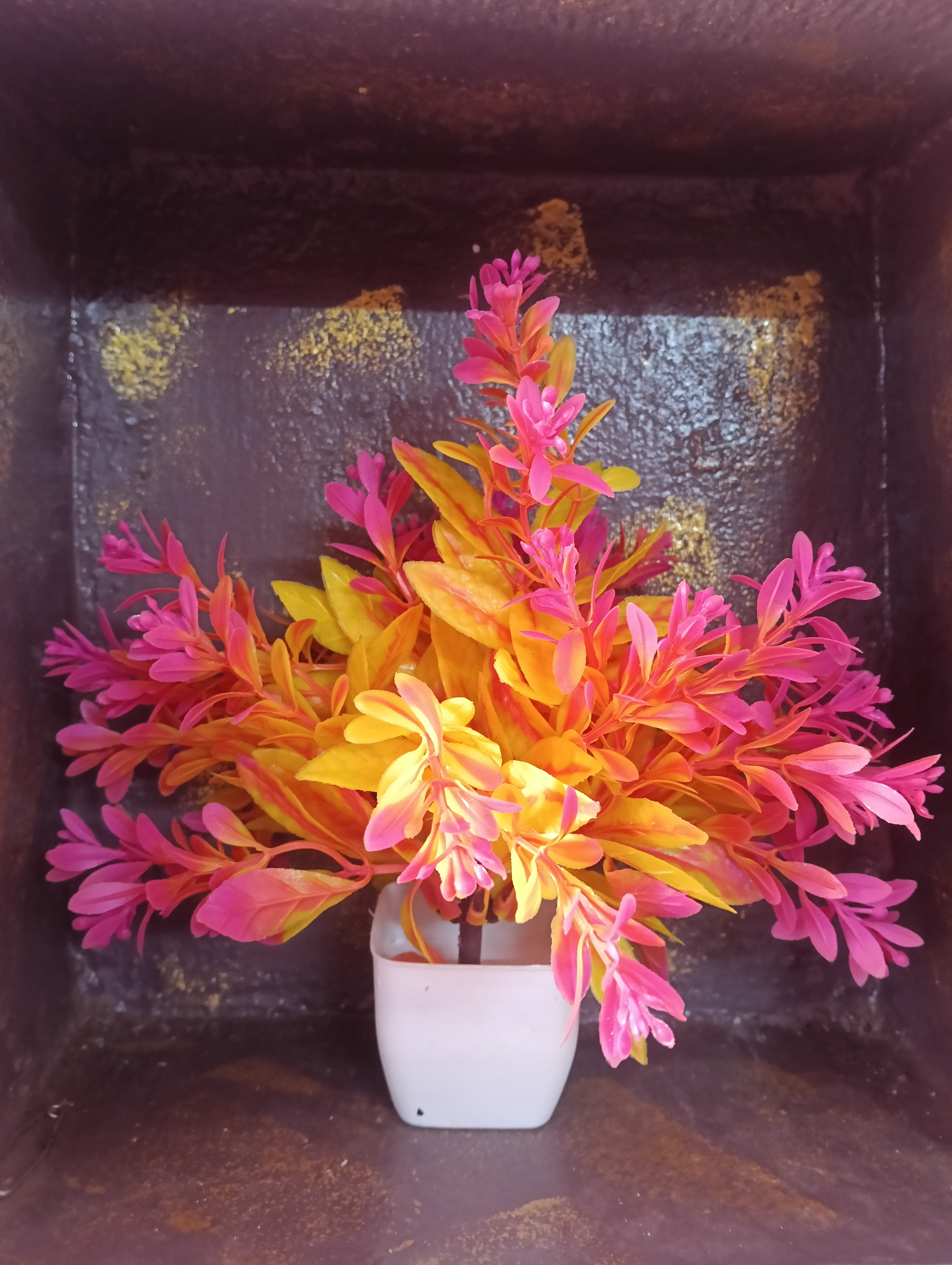 Organic Vegetable Box