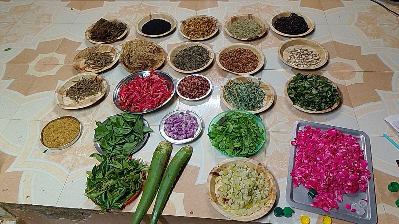 Organic Vegetable Box