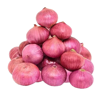 Fresh Organic Onion