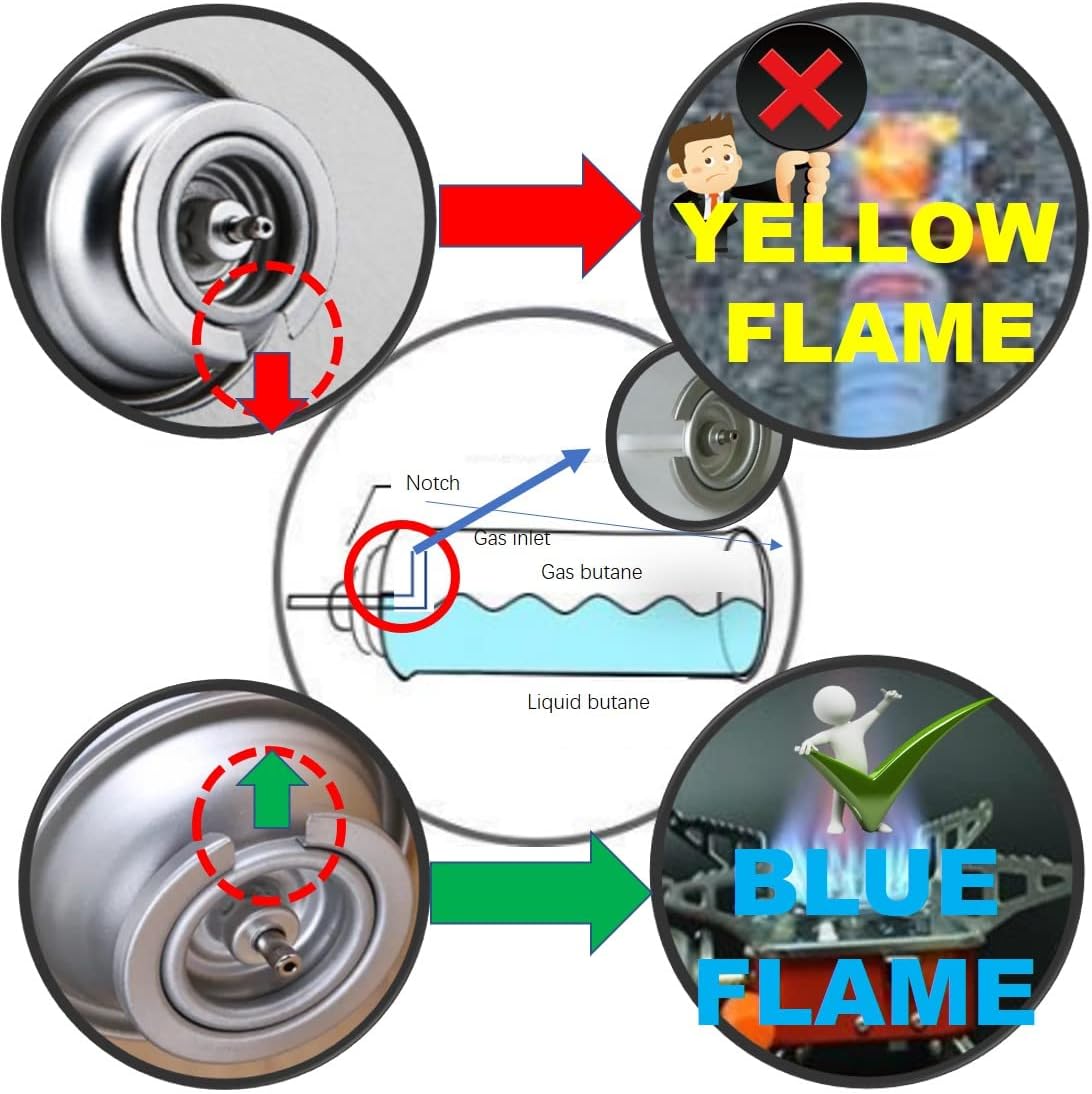 Organic Vegetable Box