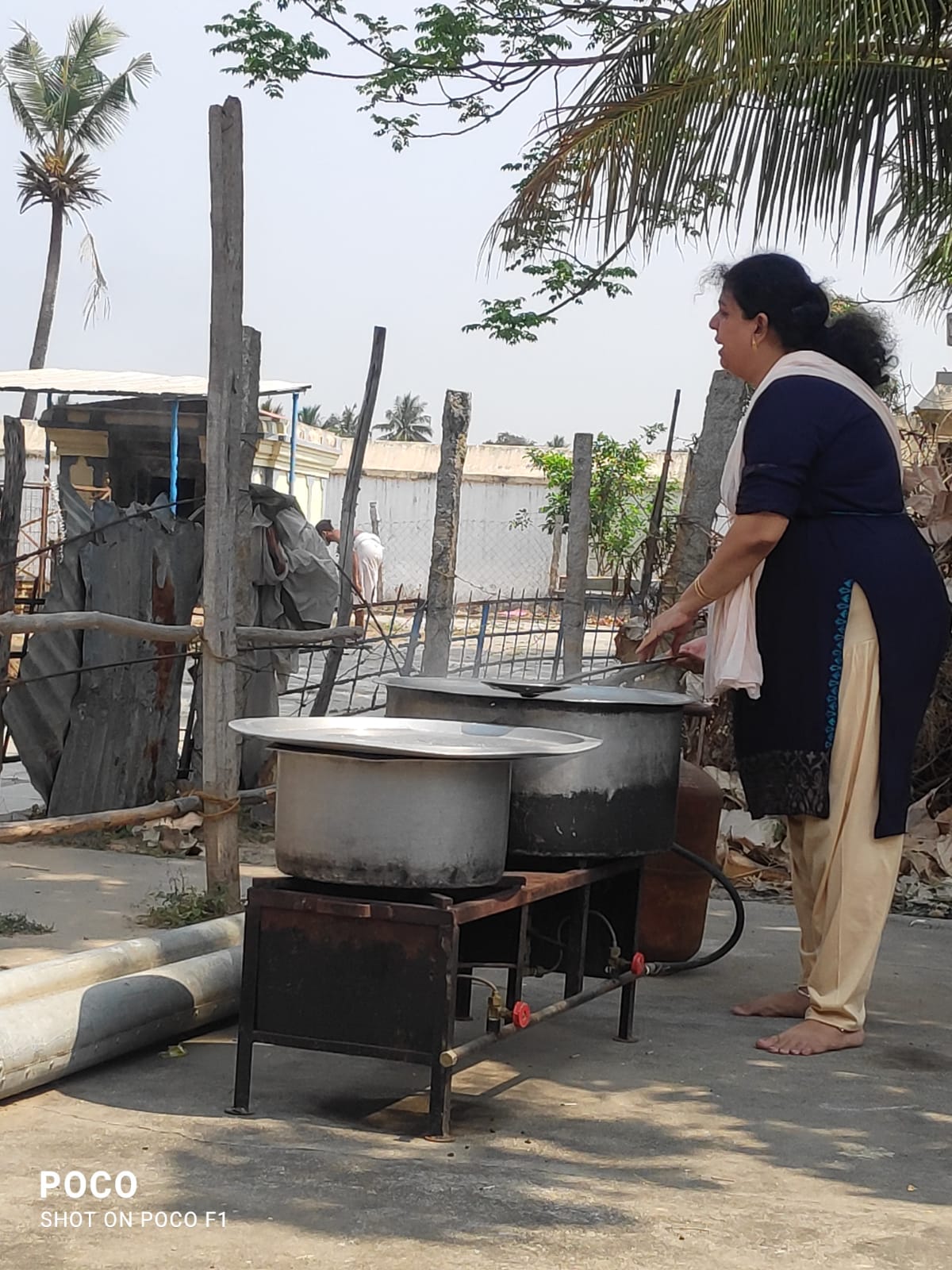 Organic Vegetable Box