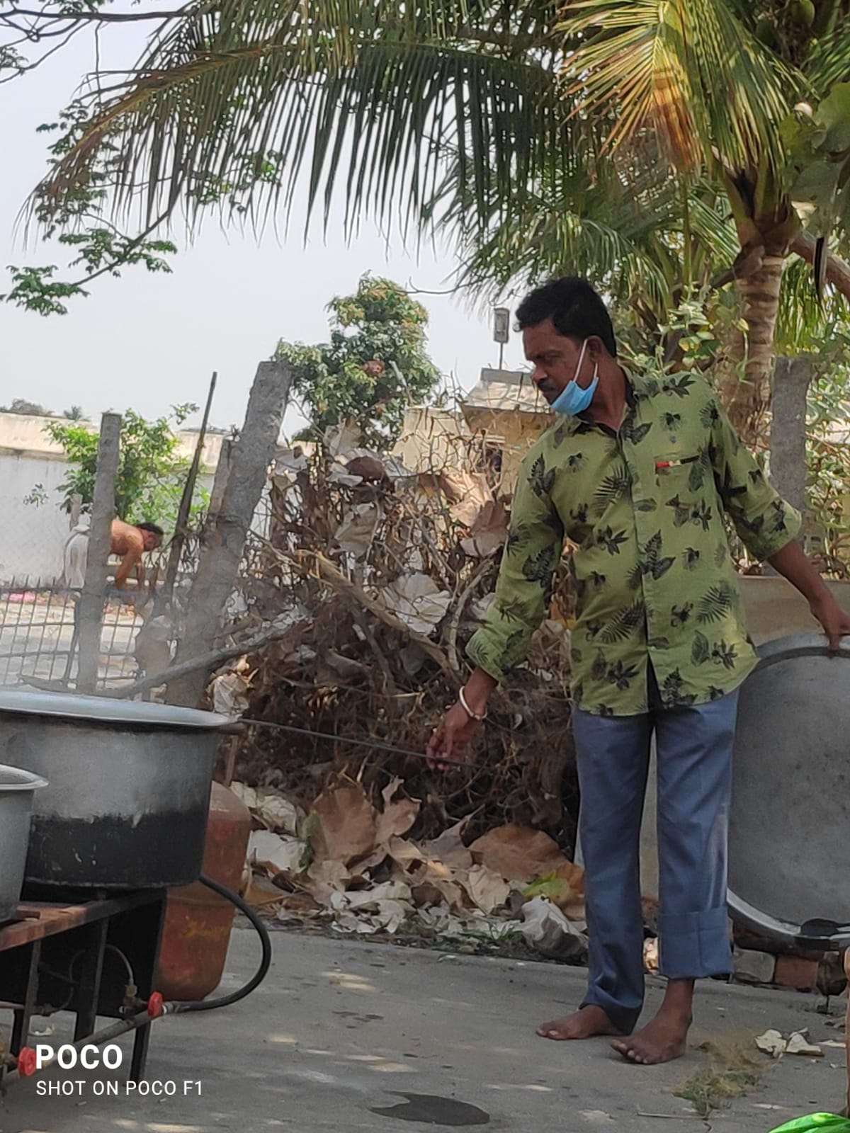 Organic Vegetable Box