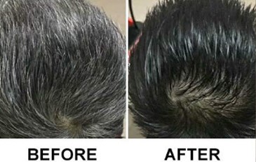 Organic Vegetable Box