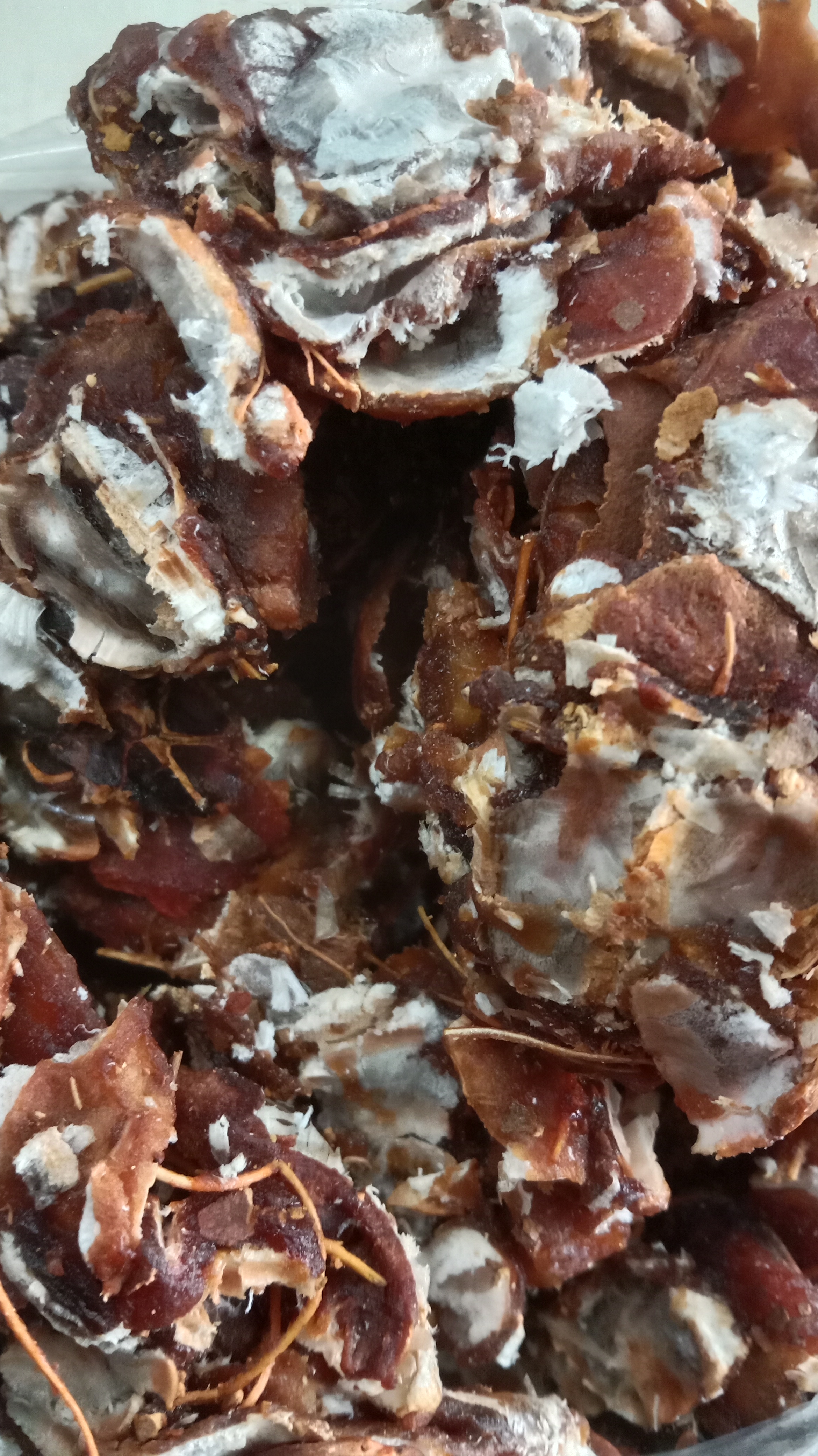 Organic Vegetable Box