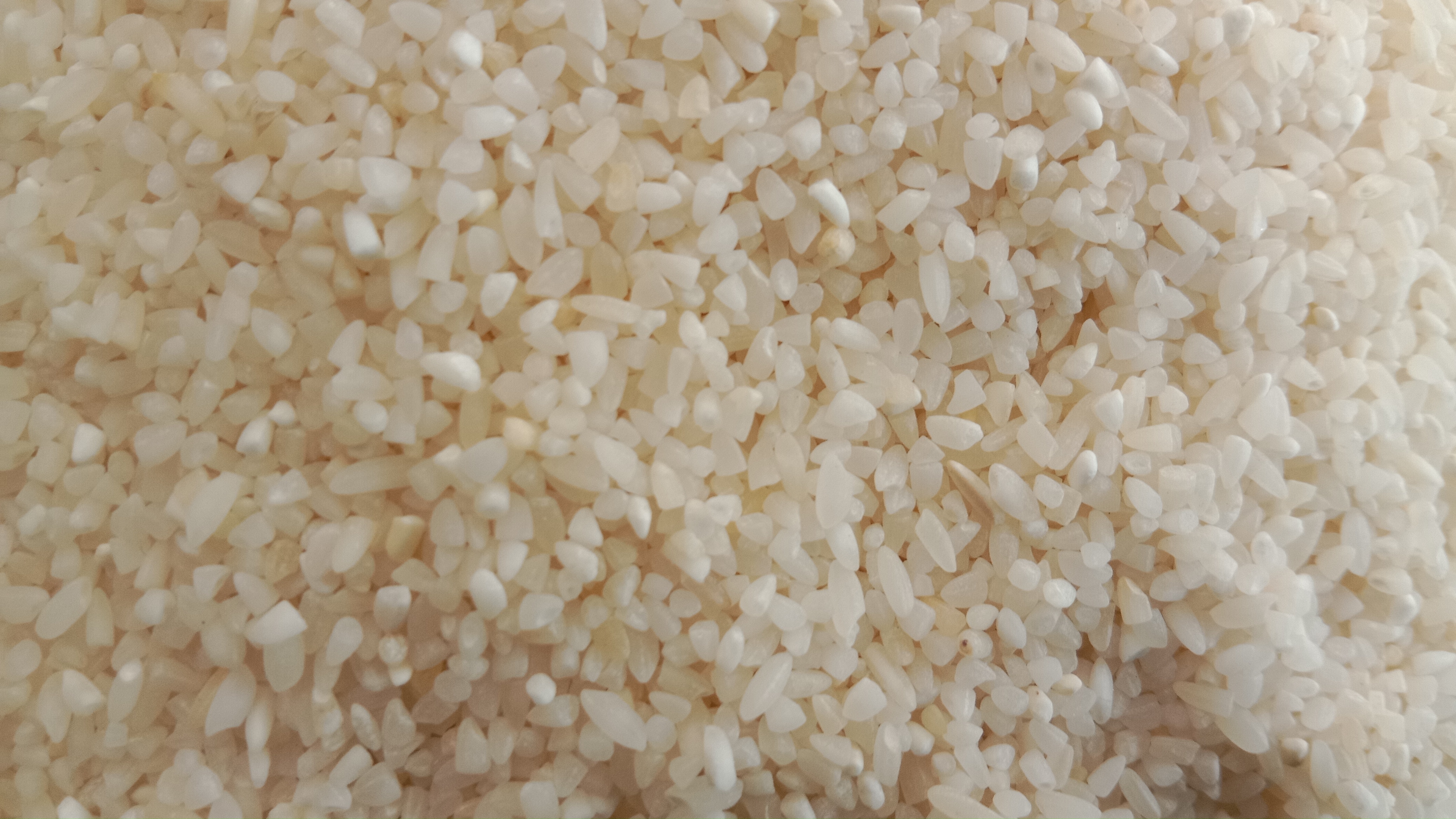 Organic Vegetable Box