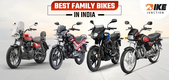 Organic Vegetable Box