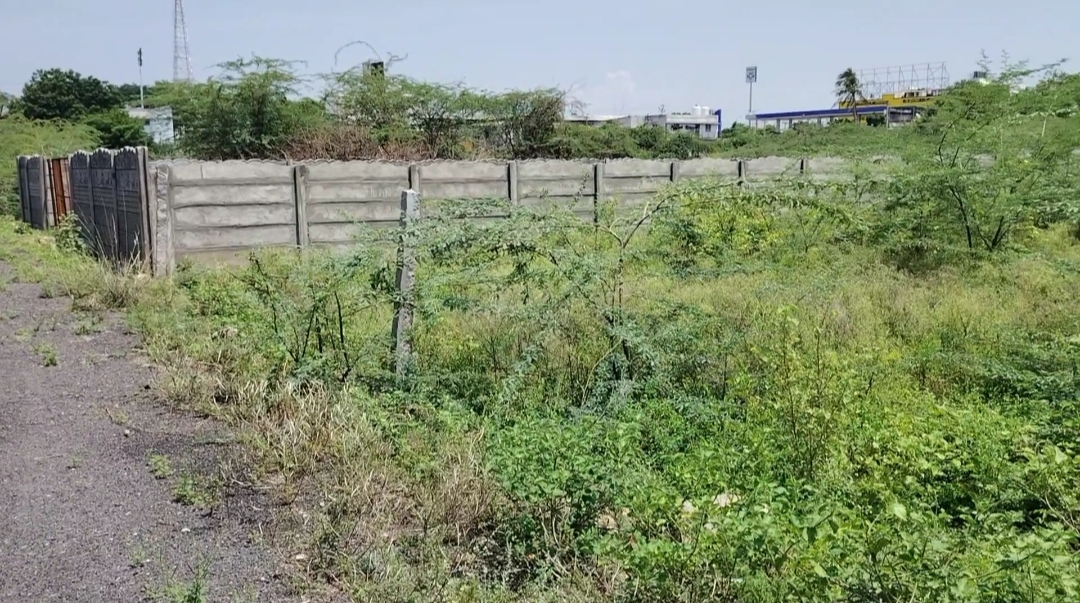 Organic Vegetable Box