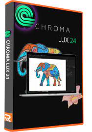 Organic Vegetable Box