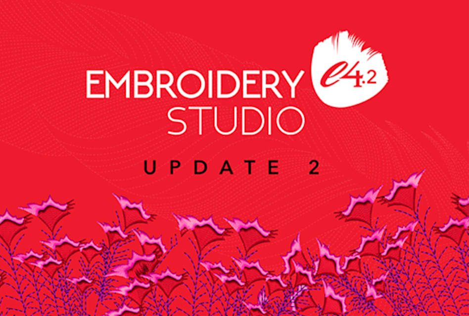 Organic Vegetable Box