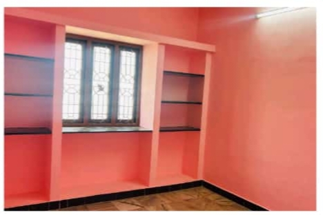 Organic Vegetable Box