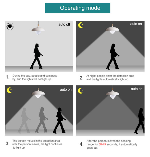 Organic Vegetable Box