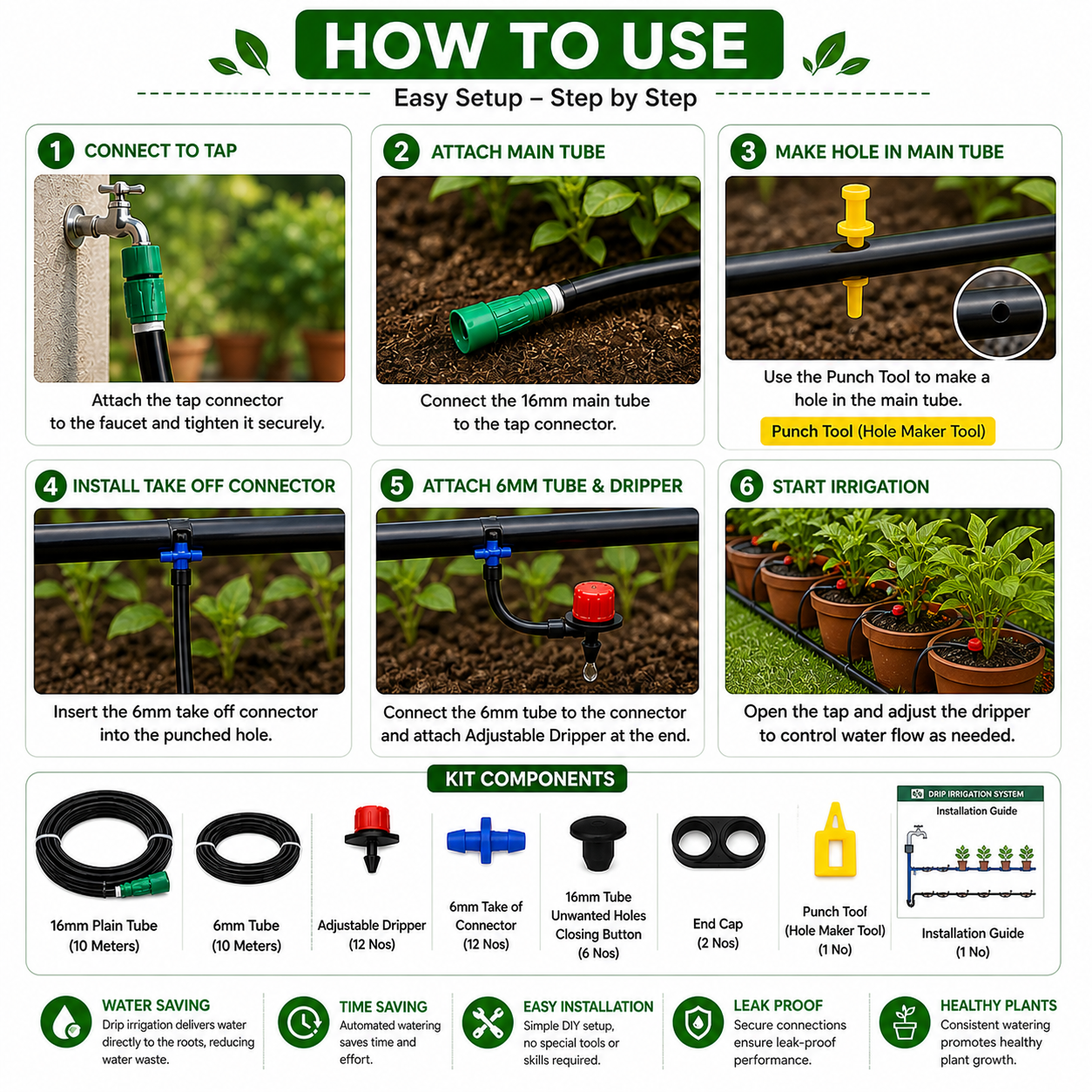 Organic Vegetable Box