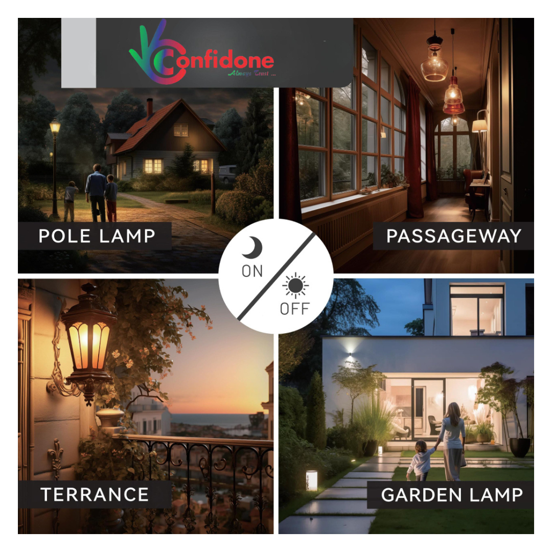 Organic Vegetable Box