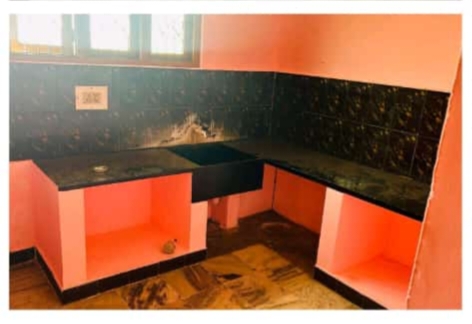 Organic Vegetable Box